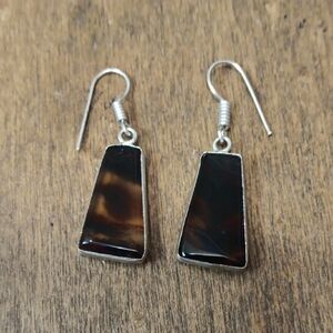 Elegant Silver and Brown Earrings